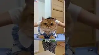 Vous auriez choisi lequel ? Nous, on a craqué tout de suite 😻