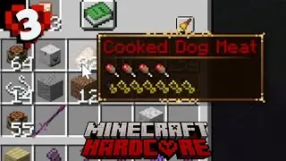 Minecraft Survival Indonesia Hardcore Random Datapack Episode 3 | Storage Room & Daging Anjing