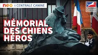 INAUGURATION DU MÉMORIAL DES CHIENS HÉROS - Neo x Centrale Canine