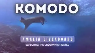 Indonesia Liveaboard - Amalia 2024 Diving in the Komodo islands Coral Reefs, Mantas, Octopus