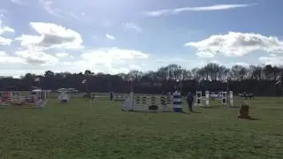 Tweseldown OI - The Masters Harry