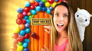 I Made a SECRET CANDY Room to Hide From My CRAZY LLAMA !