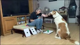 counting 1 and 2