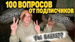 100 ВОПРОСОВ ОТ ПОДПИСЧИКОВ
