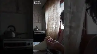 Массаж  для попугая