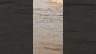 Мост в Нижнеозерном