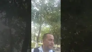 Валижон шамшиевни ошдан кайтиши