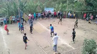 Smash Volly Tarkam sangat keras dan tajam