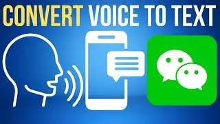 How To Convert Voice To Text | WeChat