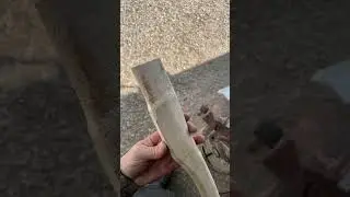 Пересаживаю #топор #axe #wood #handmade #столяр #столярка