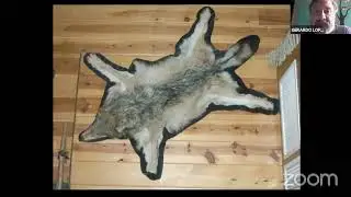 ¡CELEBREMOS! ¡10 AÑOS DEL REGRESO DEL LOBO MEXICANO A MÉXICO!