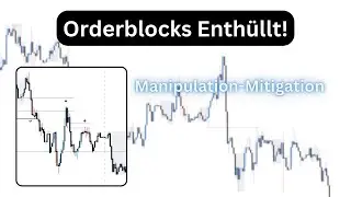 Orderblocks 101: Der ultimative Leitfaden für Trader!