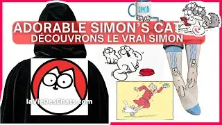 ADORABLE SIMON'S CAT. DÉCOUVRONS LE VRAI SIMON