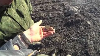 Петровская копейка