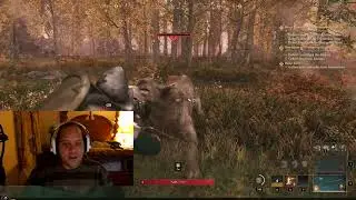 New World Hunting Rabbits