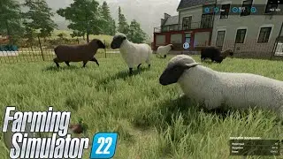Самый полный гайд по овцам в farming simulator 22.