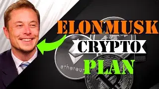 Elon Musk's Crypto Master Plan (Is Crypto A Bubble?)