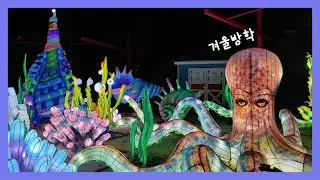 일상vlog | 겨울방학 (Botanical Garden, Illuminarium, Zoo, High Museum of Art)