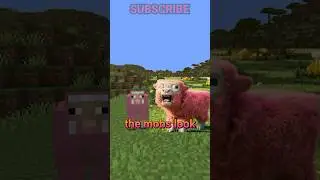 MINECRAFT MOVIE IS HERE! 