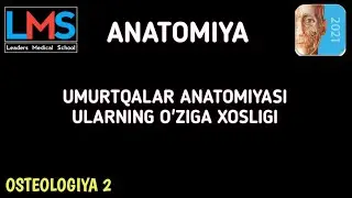 Umurtqalar Anatomiyasi [] LMS