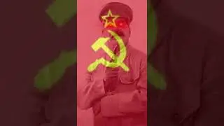 Fall Of GERMANY! (WWII) #shortsclip #shorts #youtube #youtubeshorts #msm #pingping #history #germany