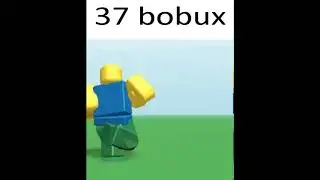 37 bobux