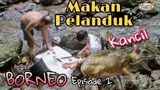 Berburu Pelanduk di Belantara Hutan Kaltim // TIMBER CRUISING SURVEY "Episode 2"