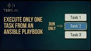 Execute only one task from an Ansible playbook
