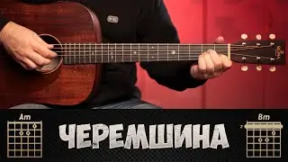 ЧЕРЕМШИНА на гітарі