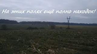Поиск кладов и монет. Вернулись на поле за церковью.