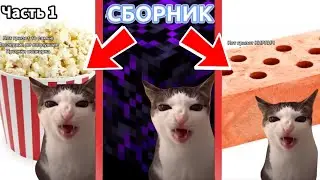 КОТ СМЕШНО ГРЫЗЕТ РАЗНЫЕ ПРЕДМЕТЫ ЧАСТЬ 1 | СБОРНИК Кота КОТОРЫЙ Грызет | Мем из ТИК ТОКА