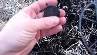 Вечерний выход