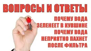 Фильтр Кувшин. Почему зеленеет вода в фильтре. Почему пахнет неприятно после стационарного фильтра