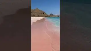 😍PINK BEACH IN INDONESIA😍 #shorts #indonesia #komodo