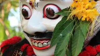 Ngintip jangkrik 