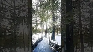 Spiritual Animist Space