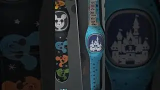 Disney magicbands