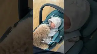 Мальчик или девочка?💙🩷