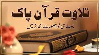 Tilawat Quran Pak | Most Beautiful Quran Recitation | Best Tilawat E Quran Pak In The World