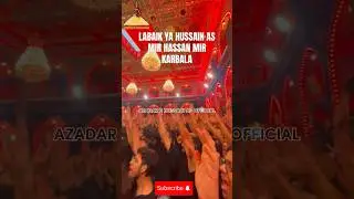 LABAIK YA HUSSAIN AS MIR HASSAN MIR IN KARBALA #shia #mirhasanmir #shia #karbala #viralshorts