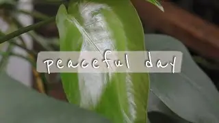 a peaceful day in my life | silent vlog