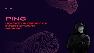 Ping submission - information gathering tool || How To ping any website