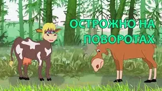 Moose - Steel balls, three Heifers and a Baby goat. Humor.