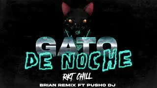 GATO DE NOCHE 😼 - RKT CHILL  - BRIAN REMIX ✘ PUSHO DJ