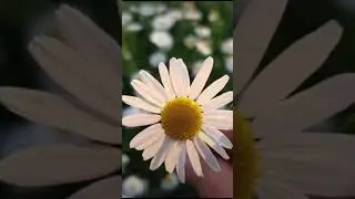 Доброе утро! Красивоежелание