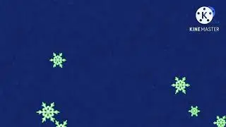 Заставка скандалы с томом и беном новогодний выпуск