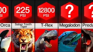 Comparison: Most Powerful Bites In History