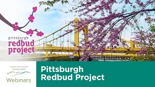 Pittsburgh Redbud Project: Celebrating Five Years on Earth Day