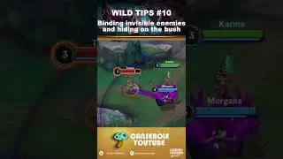 Binding Invisible Enemies and Hiding on bush | Wild Tips #10
