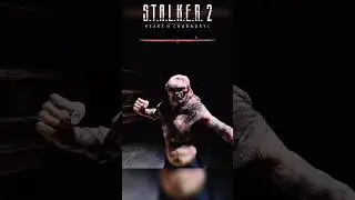 S.T.A.L.K.E.R 2  